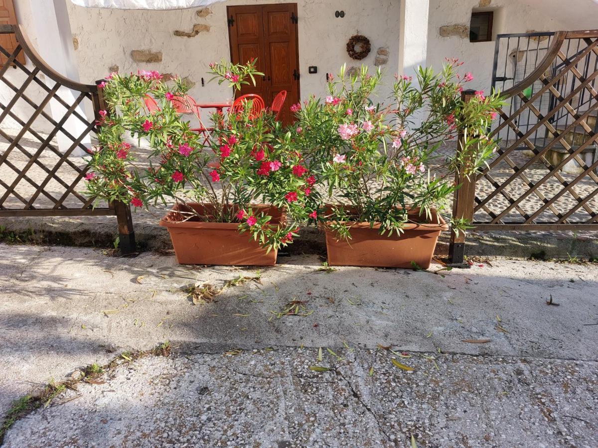 Cottage Lavanda E Rosmarino ลาวิส ภายนอก รูปภาพ