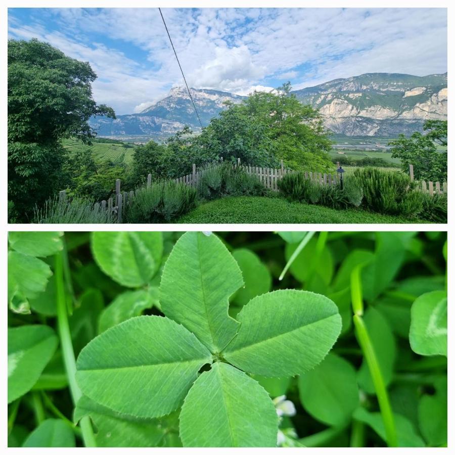 Cottage Lavanda E Rosmarino ลาวิส ภายนอก รูปภาพ